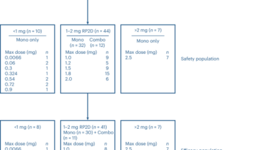 MAGE-A4/MAGE-A8-targeted TCR-based bispecific T cell engager in recurrent and/or refractory solid tumors: a phase 1 trial