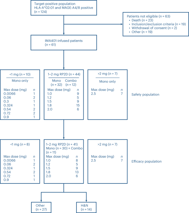 MAGE-A4/MAGE-A8-targeted TCR-based bispecific T cell engager in recurrent and/or refractory solid tumors: a phase 1 trial