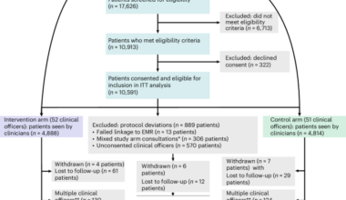 Generative AI-enabled clinical decision support system in primary care: a pragmatic, cluster-randomized trial