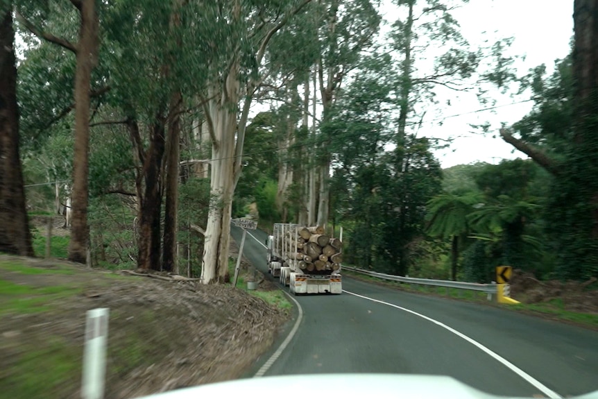 A photo taken from a car through the windshield at a winding road lined by trees. A truck with logs on it is ahead.