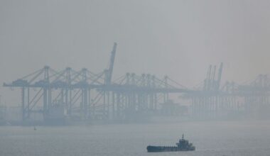 First tranche of US-India trade deal likely by mid-July, says India trade minister