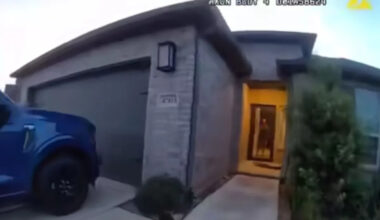 Homeowner thought the lump on his porch was an Amazon package until his screen door hit a large alligator