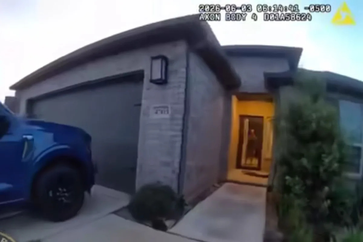 Homeowner thought the lump on his porch was an Amazon package until his screen door hit a large alligator