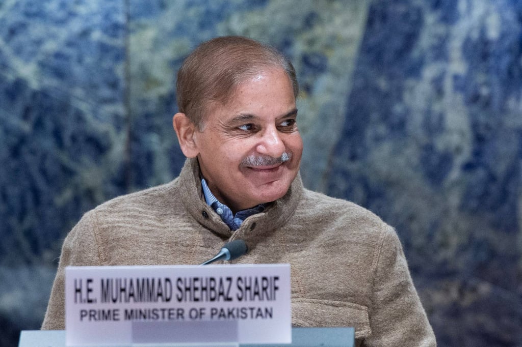 Pakistani Prime Minister Shehbaz Sharif. Photo: Violaine Martin/UN Photo/dpa