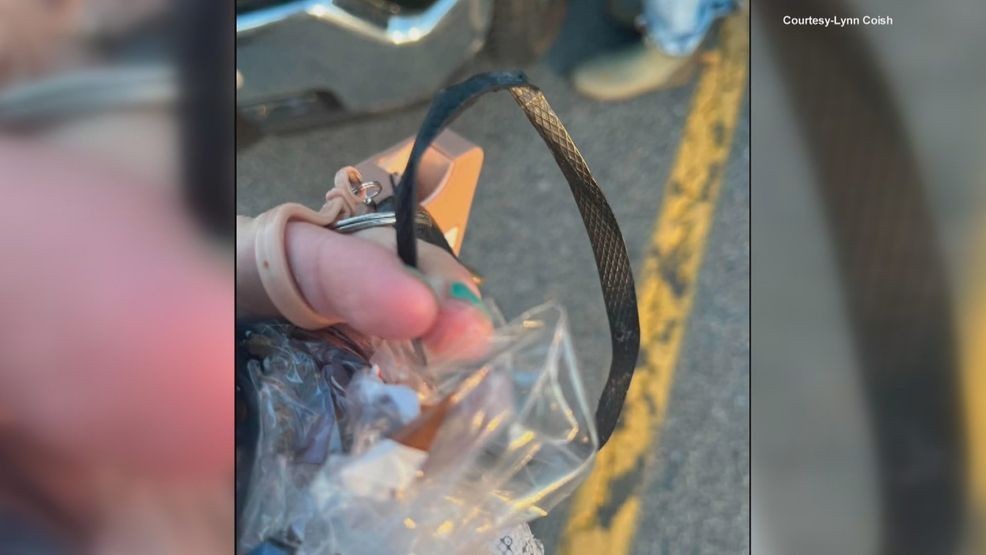 Lynn Coish said she grabbed its leg, pulled it close to her, and took the black band off of its face. (Lynn Coish)