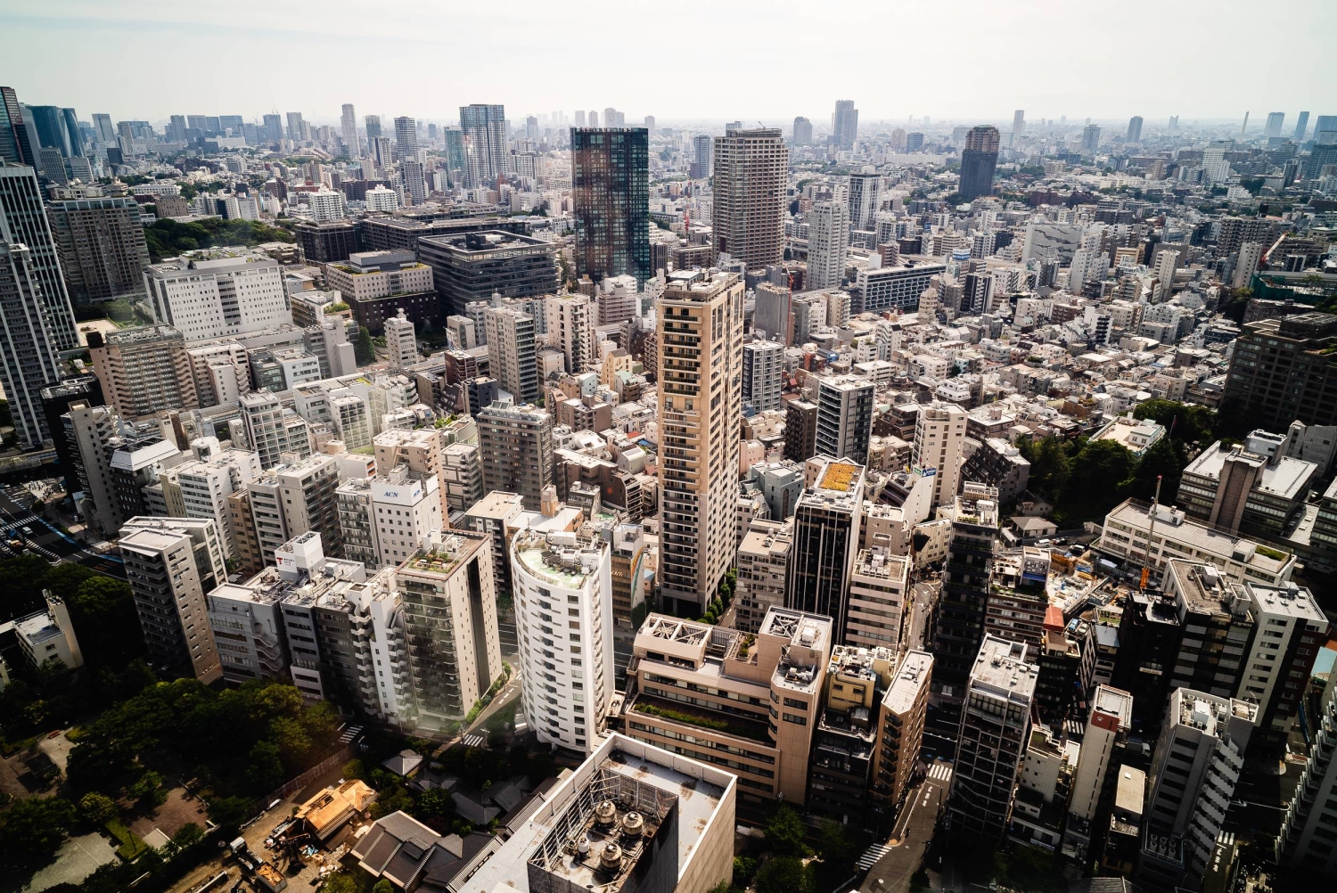 Japan revises megaquake preparation plan for Tokyo area