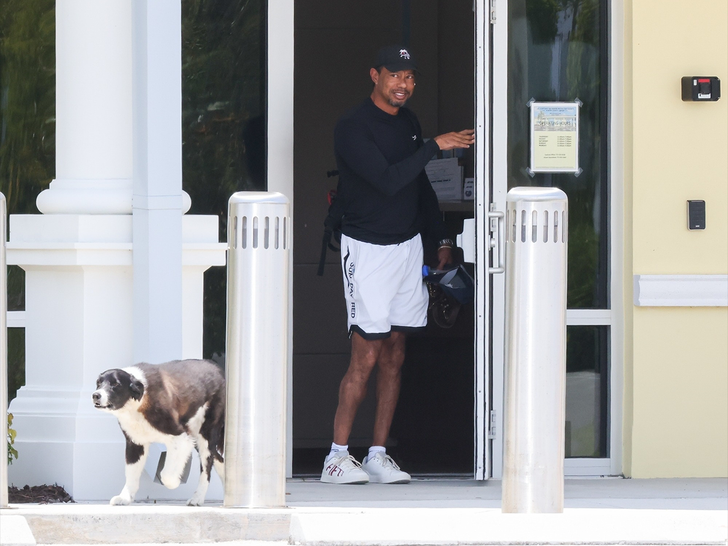 tiger woods rehab backgrid