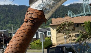 Cathedral Park Gets New Dragon Sculpture