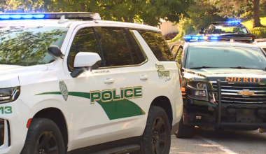 Police search for vehicular homicide suspect after chase from Indiana to Green Township