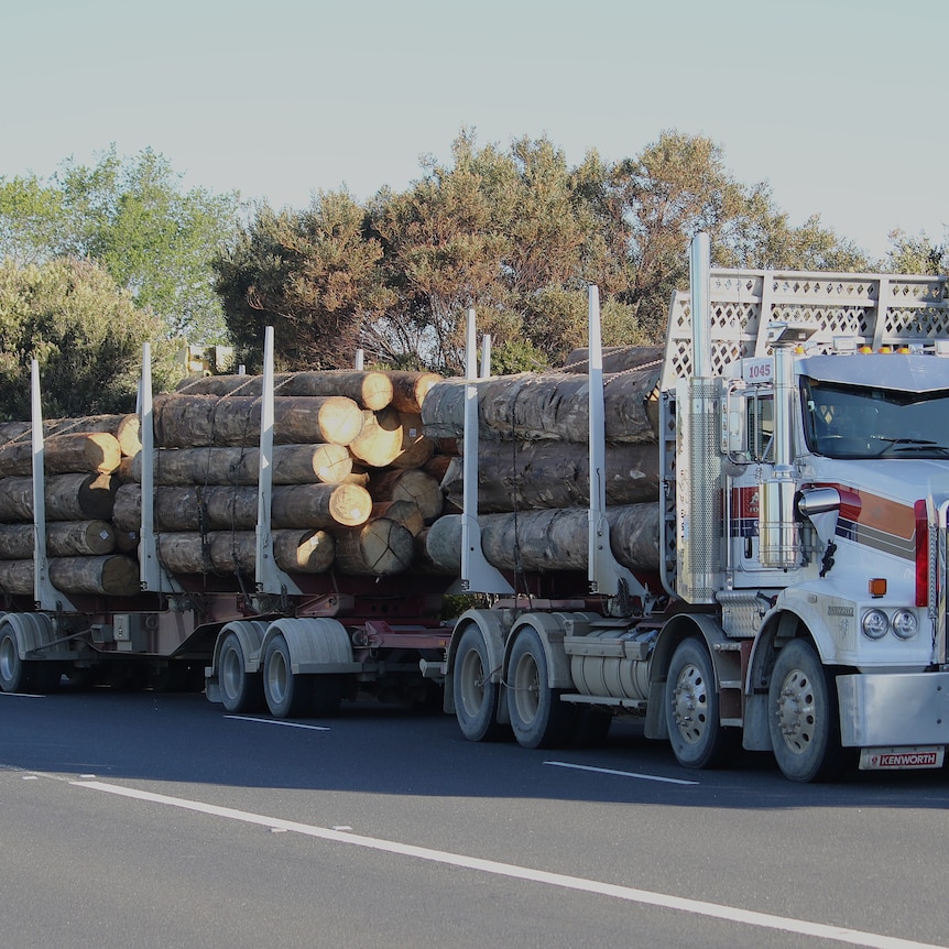 A semi-trailer loaded with logs on a road.