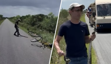 Man who wrangled invasive python in Everglades National Park has citation dropped – NBC 6 South Florida