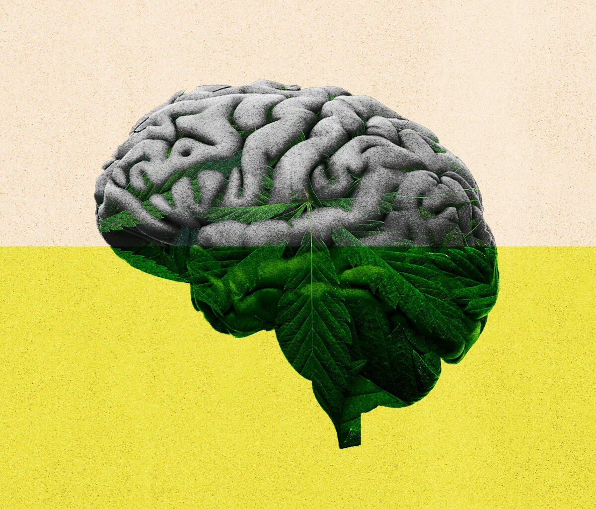 7 unexpected takeaways from the newest research on cannabis and brain effects