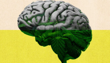7 unexpected takeaways from the newest research on cannabis and brain effects