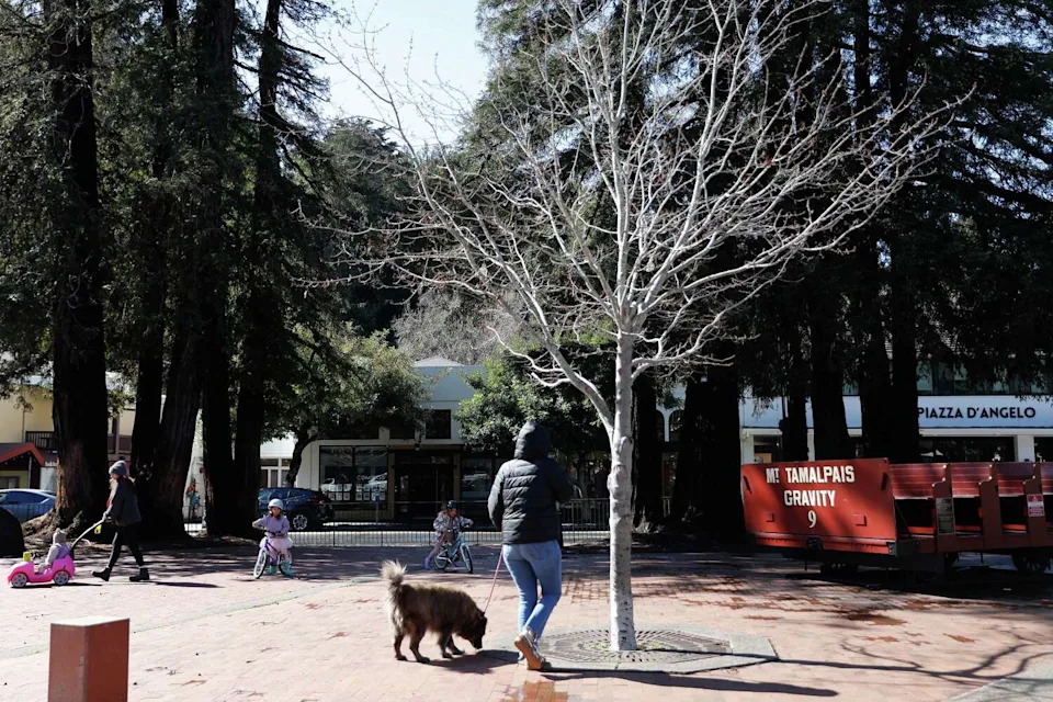 People walk as children ride bicycles in downtown Mill Valley. (Lea Suzuki/S.F. Chronicle)