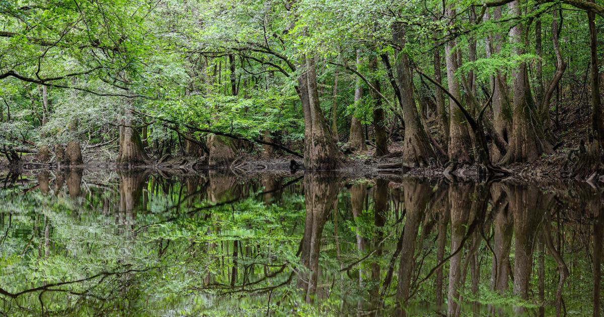 Congaree River nurdles: Riverkeeper sues Alpek, Eastman