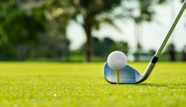 The tale of a golf ball cracking a windshield, a driver veering onto the course, and a hole-in-one | Local