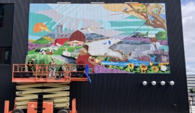 A Madison nonprofit promotes public art. Artists warn of red flags. | Arts & Culture