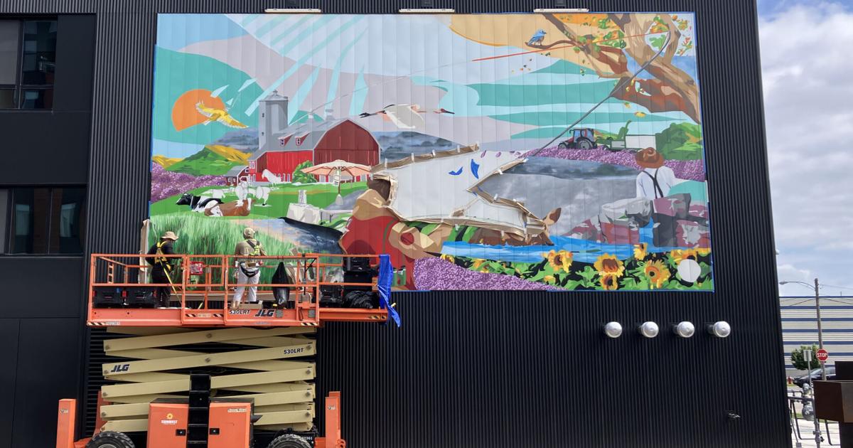 A Madison nonprofit promotes public art. Artists warn of red flags. | Arts & Culture