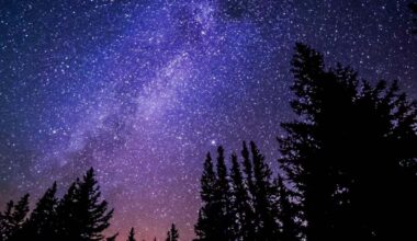 Utah town claims top honors as the best place for nighttime stargazing in the United States | News
