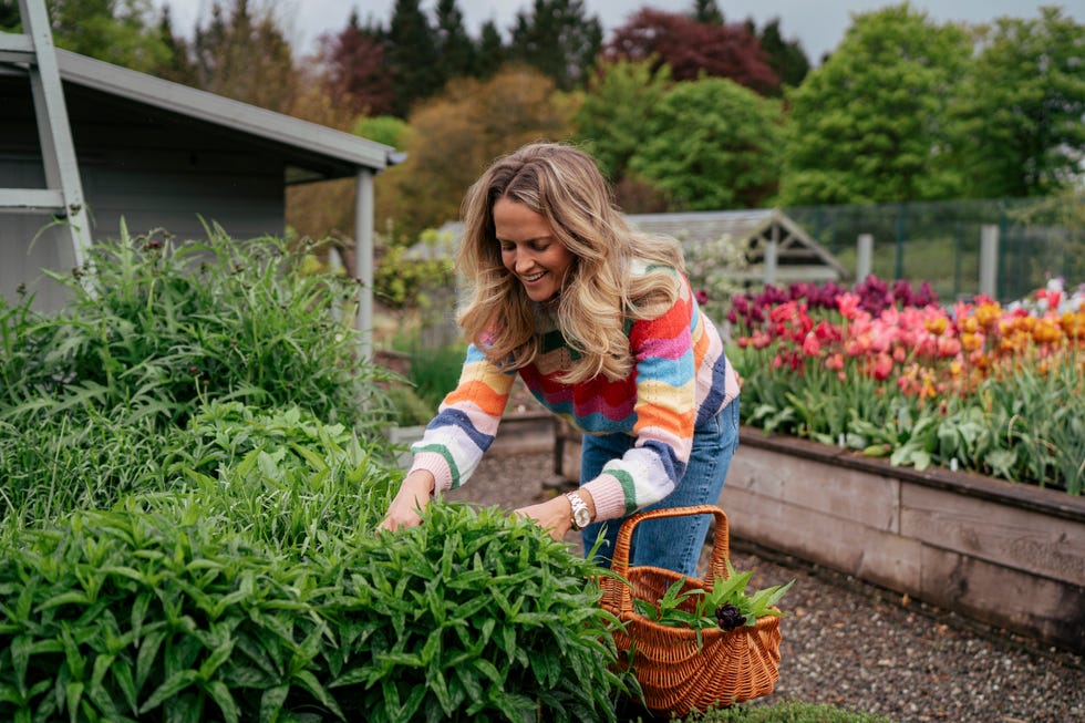 kim in the kitchen garden