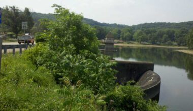 Bear spotted swimming in North Park Lake