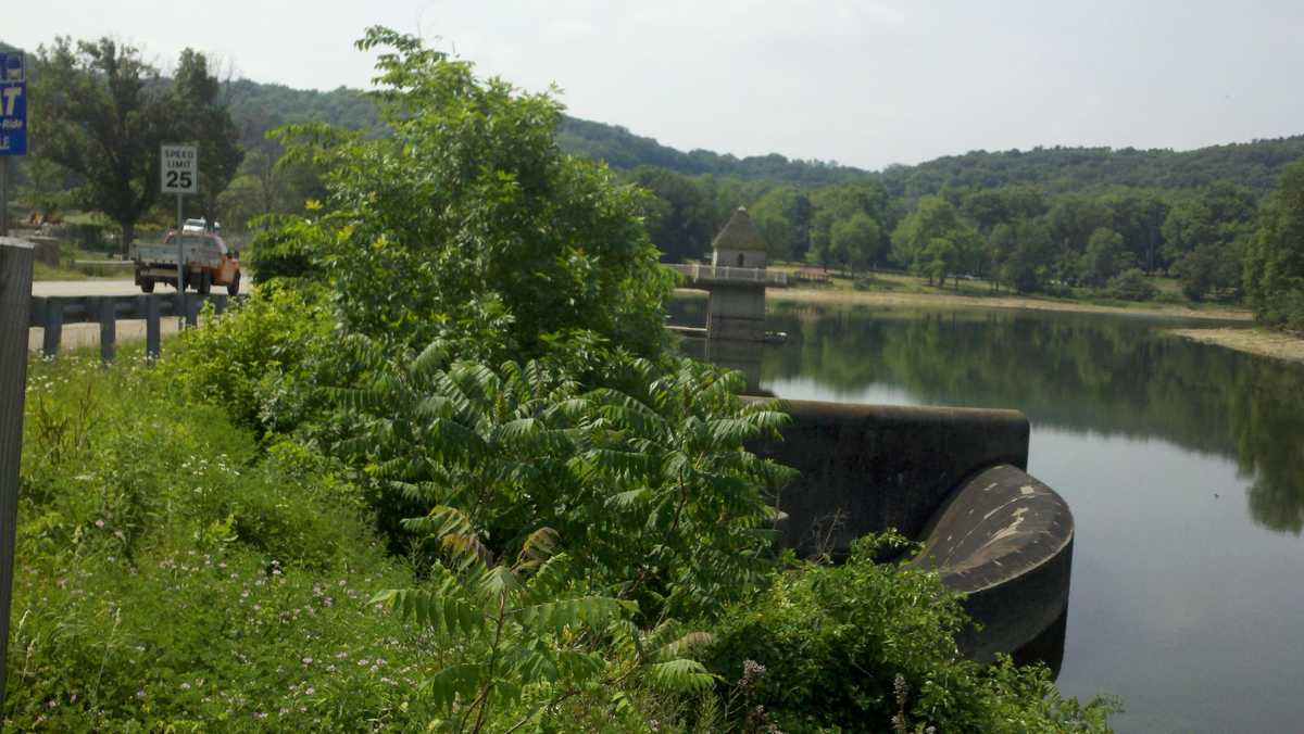 Bear spotted swimming in North Park Lake