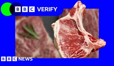 Watch: There’s no plot to make US citizens allergic to red meat