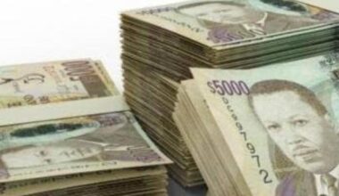 Fiscal watchdog reports marginal increase in Jamaica’s public debt burden | News