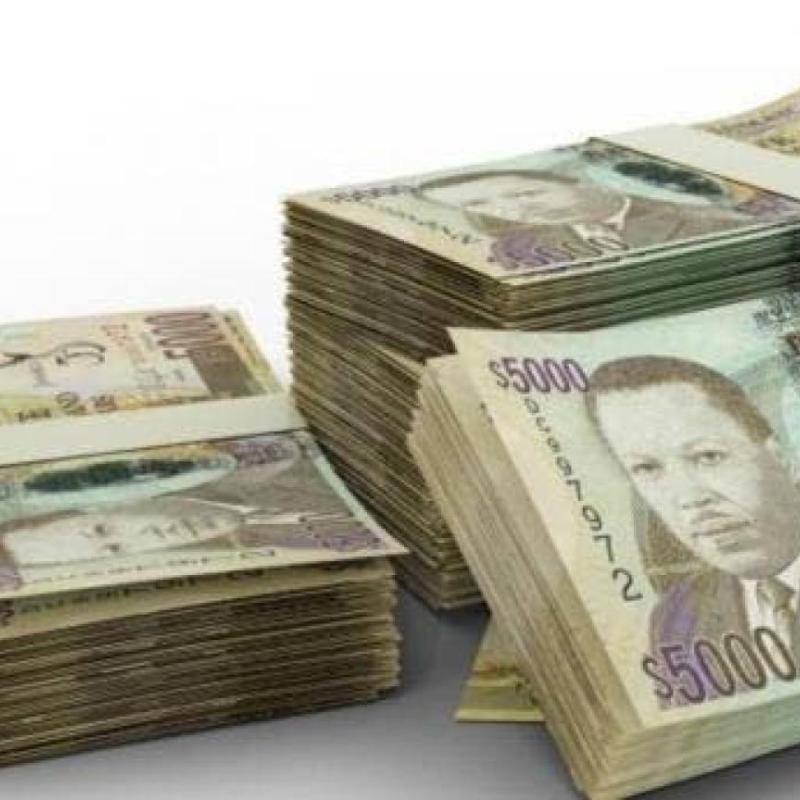 Fiscal watchdog reports marginal increase in Jamaica’s public debt burden | News