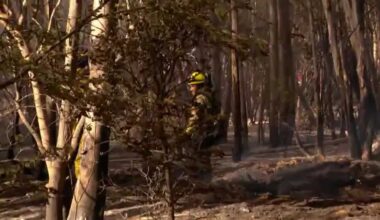 Interstate 5 at Dunnigan closed, nearby evacuations issued