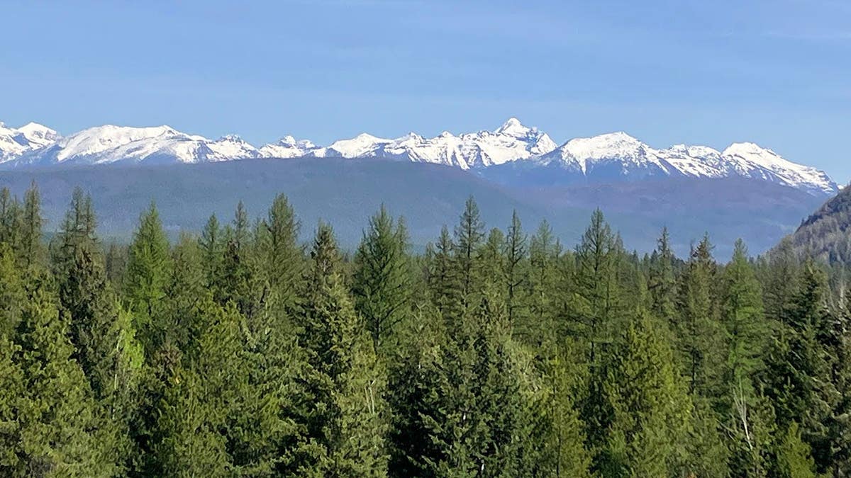 Screencaps reader Montana Tim shows off springtime in Montana.