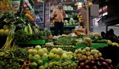 India's GDP stays robust in January-March as domestic demand offsets external weakness