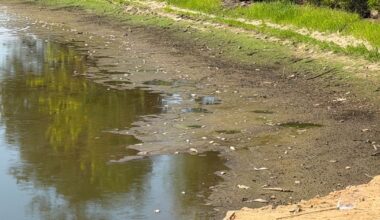 Severe drought triggers fish kill at Lake Wilson. Conditions expected to worsen in coming weeks :: WRAL.com