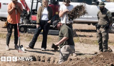 117 dead dogs found at California 'no-kill' animal rescue - many with gunshot wounds - BBC