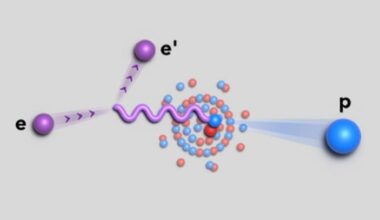 Nuclear shells govern close proton–neutron partnerships – Physics World