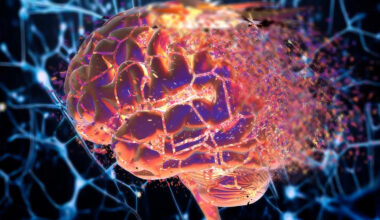 Your Consciousness Emerges From a Vast ‘Invisible’ Network, a Breakthrough Study Suggests