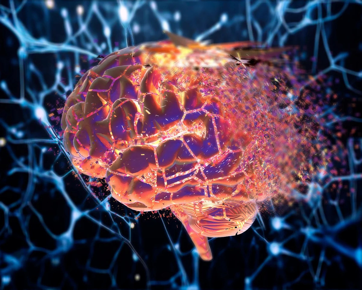 Your Consciousness Emerges From a Vast ‘Invisible’ Network, a Breakthrough Study Suggests