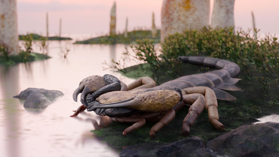 The largest scorpion to walk the Earth was the size of a baseball bat