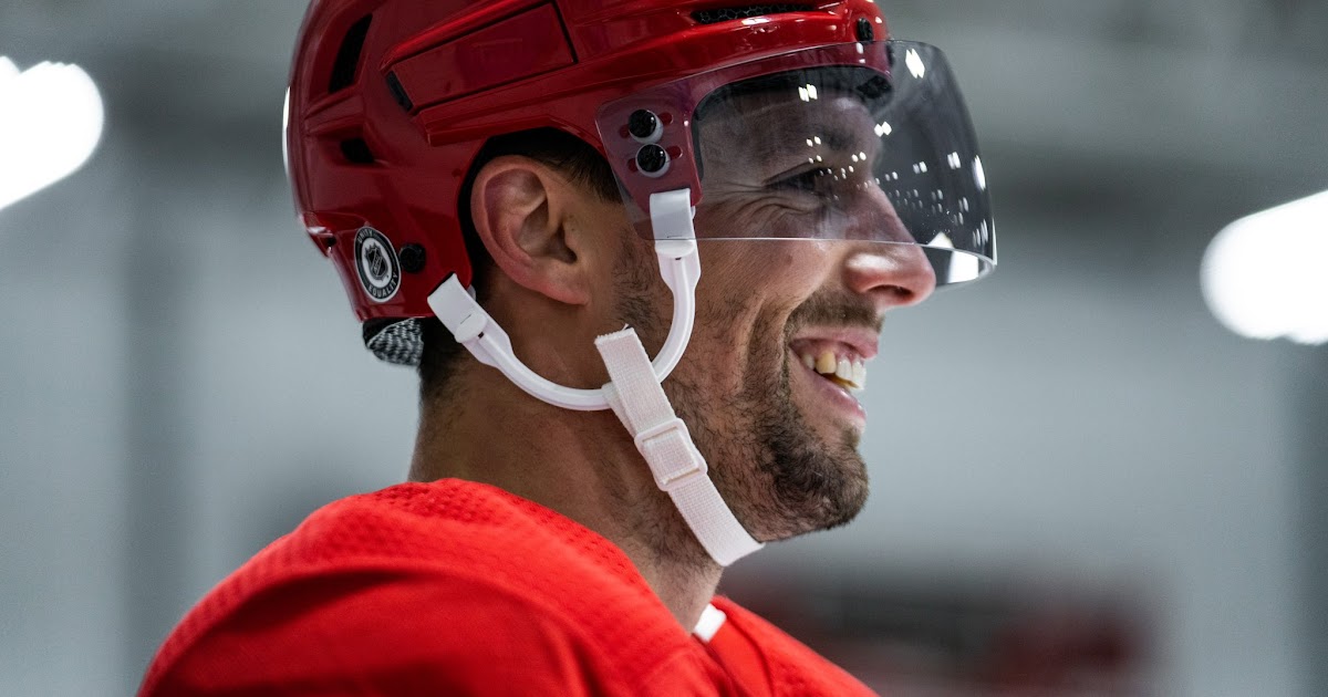 3 Free-Agent Destinations for David Perron