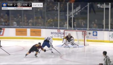 AHL announcer goes off about 'disgusting' ref call