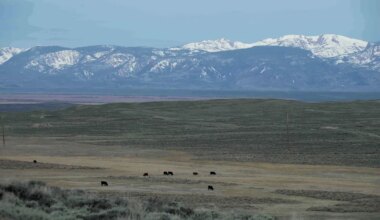 Colorado officials call for more state actions to combat drought