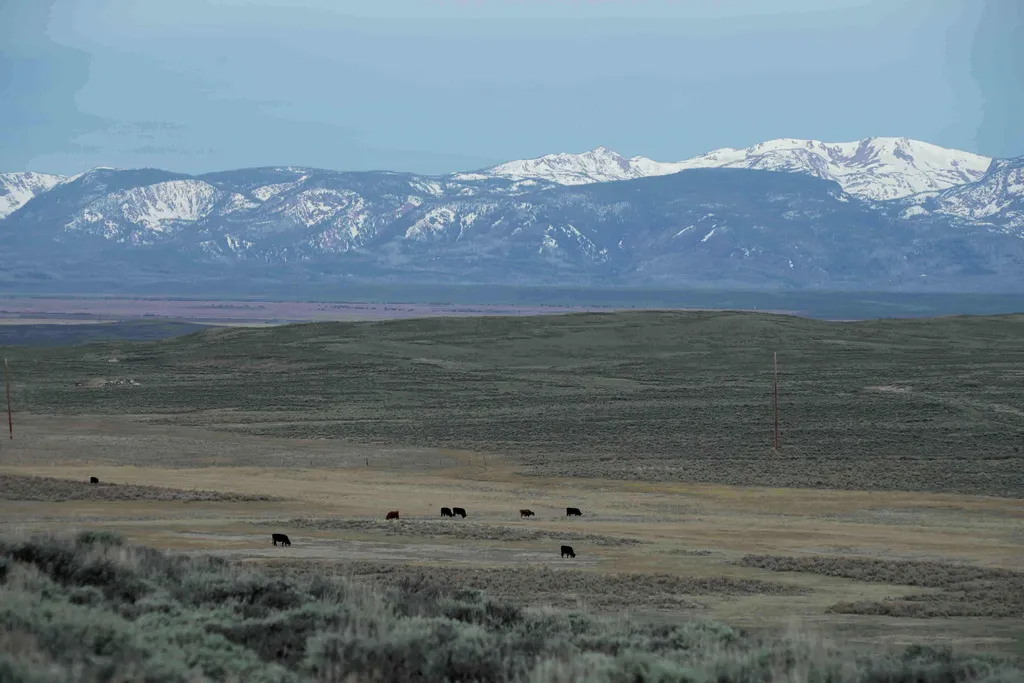 Colorado officials call for more state actions to combat drought