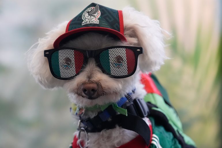 A dog named Osito wears a Mexico national team jersey and rides in a bicycle basket of Jorge Rangel before a World Cup Group A soccer match against South Korea