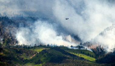 Winds hamper crews as fast-moving fire in Utah, the largest in the US, burns through forests | News, Sports, Jobs