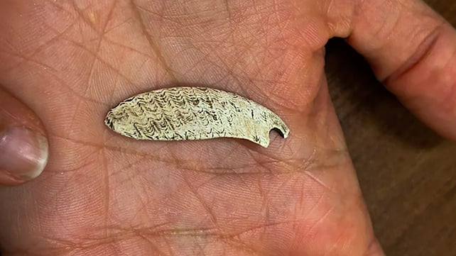 Shell pendant