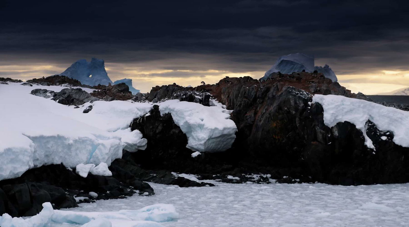 Antarctica