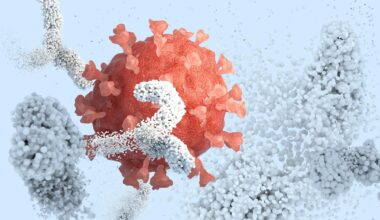 Antibodies Surrounding Inactivating Coronavirus