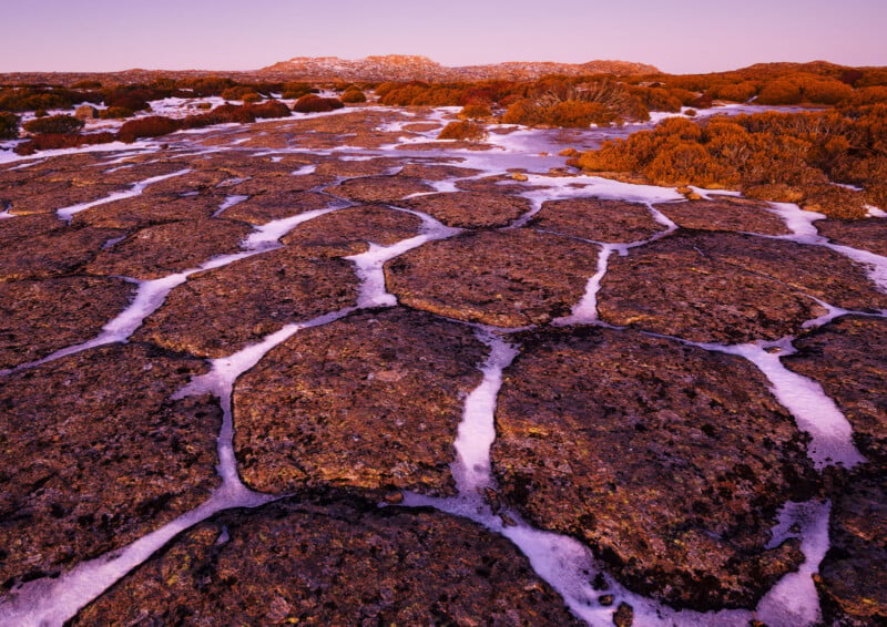 Large, flat, polygonal rock formations are interspersed with patches of white snow on the ground, with shrubs and low vegetation in the background under a purple-pink sky at sunset or sunrise.