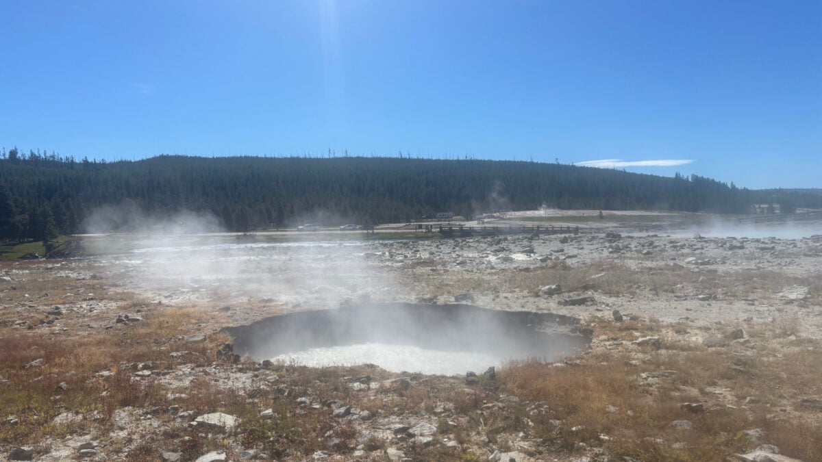 A Hydrothermal Explosion Poked New Steamy Holes in Yellowstone's Biscuit Basin