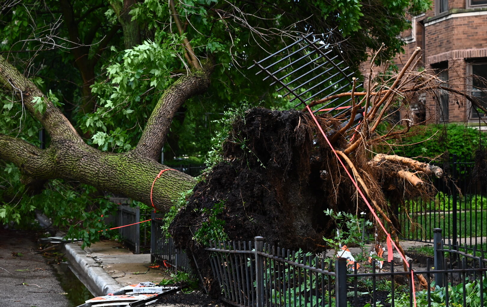 70 MPH Wind Gusts Leave Path Of Destruction Through Chicago, With More Storms Ahead